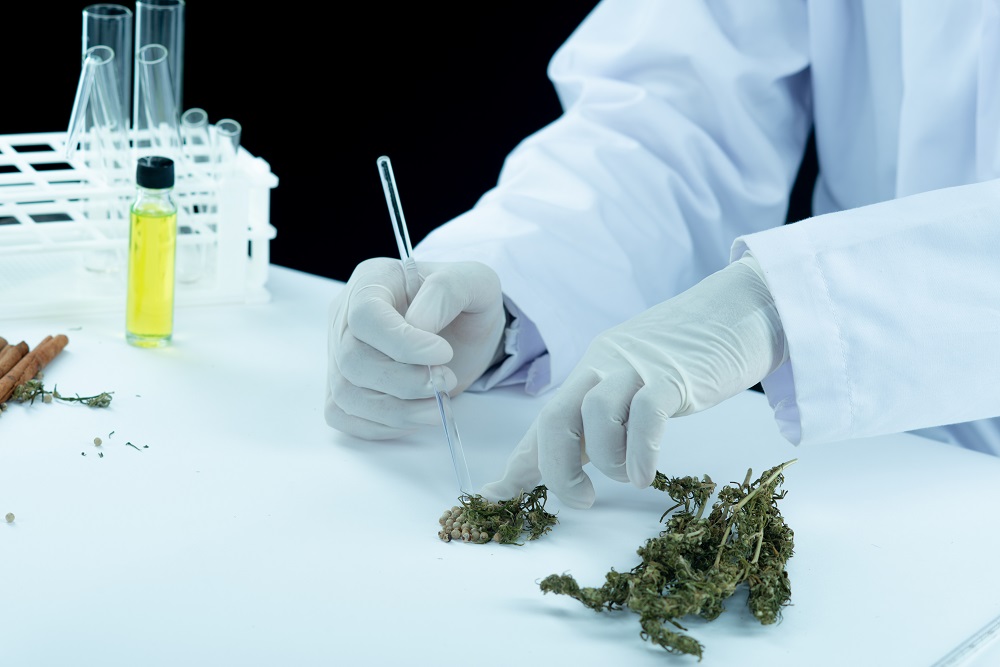 How Long Does THC Stay in Your System?